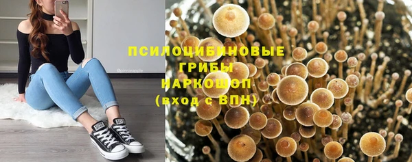 соль курить ск Бугульма